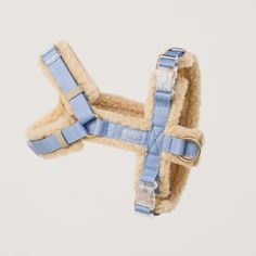 a blue dog harness on a white background