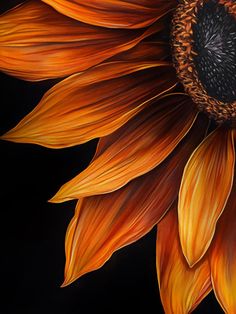 an oil painting of a sunflower with orange petals on a black background, showing the center part of the flower