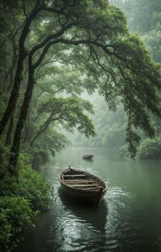 a boat floating on top of a river surrounded by trees