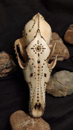 an animal skull with gold and diamond decorations on it's face sitting next to some rocks