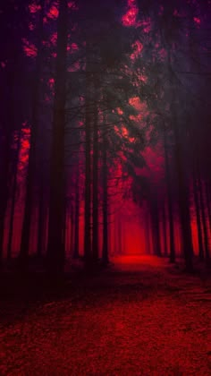 an image of a red and purple forest