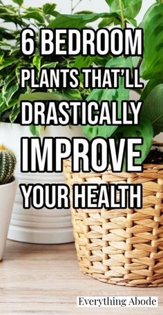 a basket full of plants with the words 6 bedroom plants that'll dramatically improve your health