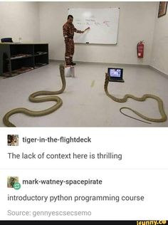 a man standing in front of a whiteboard with two snakes on it and another person pointing