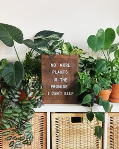 some plants are sitting on a shelf with a sign that says i'm going to pick up just one thing from the nursery