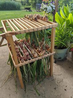 a wooden rack filled with lots of green plants next to a potted planter