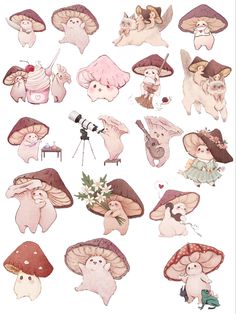 several different types of mushrooms on a white background