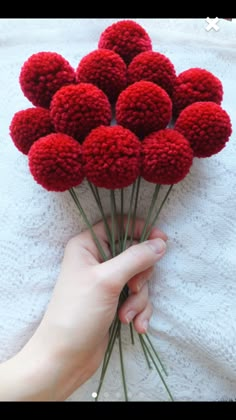 a person holding a bunch of red flowers