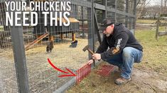 a man holding a hammer in front of a chicken cage with the words, your chickens need this