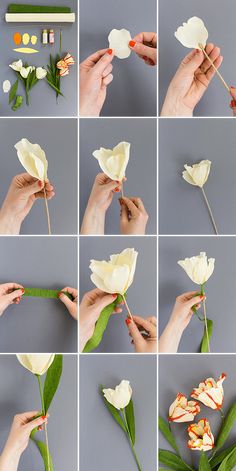 there are many different pictures of flowers being held by someone's hands and holding them together