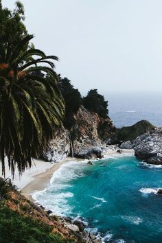 an ocean beach with palm trees on the shore and blue water in the foreground