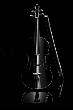 a violin on a black background with reflection