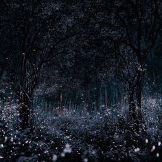 a dark forest filled with lots of trees covered in white and red lights at night