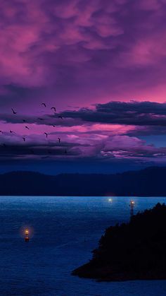 birds flying over the ocean at night with purple and pink clouds above it, as seen from an island in the water