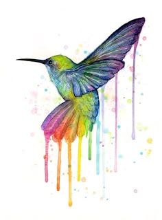 a colorful hummingbird flying in the air with dripping paint on it's wings