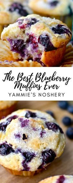 the best blueberry muffins ever