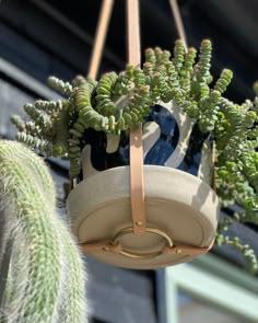 a potted plant hanging from the ceiling in front of a building with a blue and white bird on it