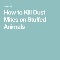 Kill Dust Mites, Cleaning Toys, Fabric Toys, Health Facts, Stuffed Animals, Parenting