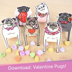 valentine's day card with three pugs in love and hearts on the table