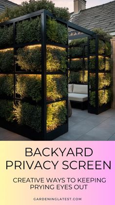 an outdoor privacy screen with plants growing on it and the words backyard privacy screen creative ways to keep your eyes out