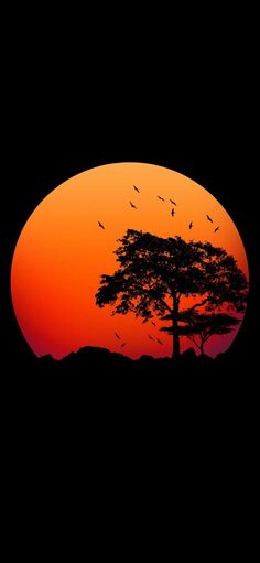 the sun is setting behind a tree with birds flying in the air above it and on top of a hill