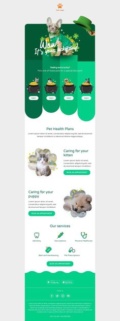 a green and white website design with an image of a cat on it's back