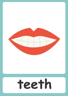 the word teeth is written in front of an image of a woman's mouth