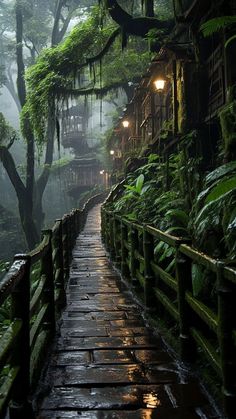 a wooden walkway in the middle of a forest filled with green plants and lit by lanterns