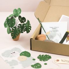 an open cardboard box with plants and cards in it next to a potted plant