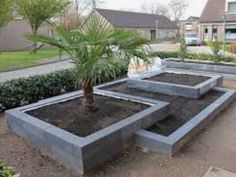 a small palm tree is in the middle of some concrete planters