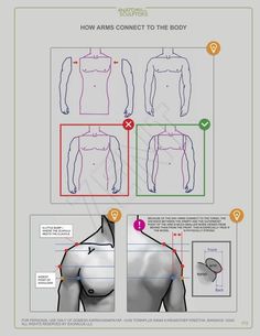 the diagram shows how to draw an arm and chest in three different ways, including directions for