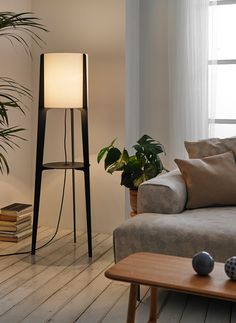 a living room with a couch, table lamp and potted plant in the corner