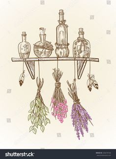 herbs and bottles hanging from a shelf with flowers on it, hand drawn in ink