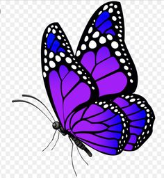 a purple butterfly with white dots on it's wings