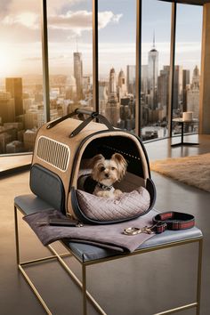 a small dog is sitting in its carrier on a table with a city view behind it