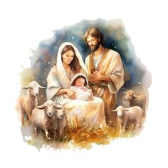 a watercolor painting of jesus and mary with their baby in the manger, surrounded by sheep