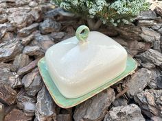 a white dish sitting on top of a pile of rocks next to a small tree