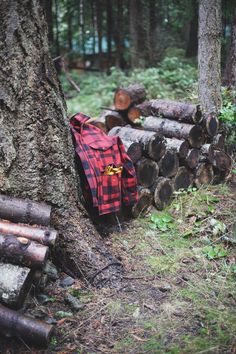 a red and black plaid jacket sitting on top of a pile of logs next to a tree