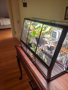 a fish tank sitting on top of a wooden table next to a window filled with plants