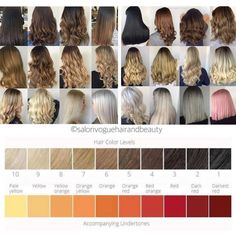 Grey Hair Colour Chart, Level 6 Hair Color, Level 7 Hair Color, Color Undertones, Pelo Color Borgoña, Hair Color Names, Blonde Hair Color Chart, Golden Hair Color