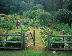 a garden filled with lots of different types of plants and flowers next to a wooden fence