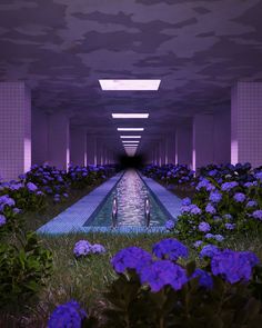 an indoor swimming pool surrounded by purple flowers and greenery in the foreground is a long corridor with water running through it