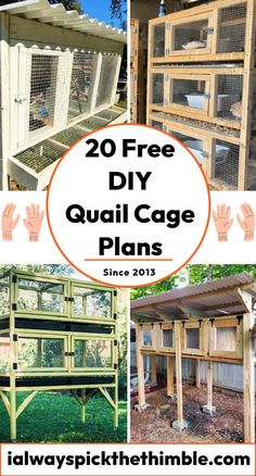 chicken coop plans with the words 20 free diy quail cage plans