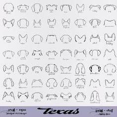 an image of different types of dogs'heads and their names in black ink on white paper