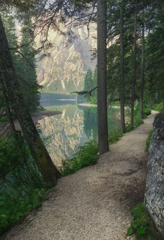 a path leading to a lake surrounded by trees