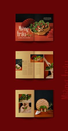 an open book with images of food and vegetables on the cover is shown in three different colors