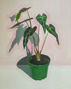 a painting of a potted plant in front of a pink wall with green leaves