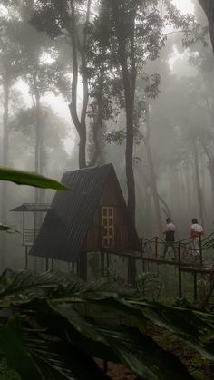 two people standing on a wooden platform in the woods near a small cabin with a metal roof