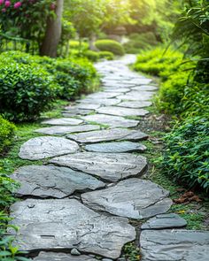 a stone path in the middle of a lush green forest