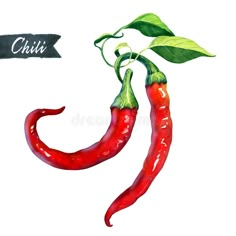 two red chili peppers with green leaves on white background royalty illustration