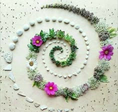 an arrangement of flowers and rocks arranged in the shape of a spiral